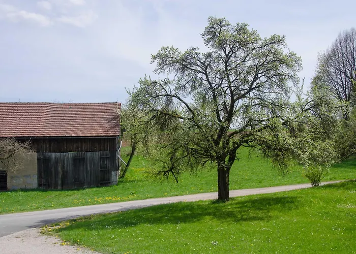 Kobelsberg Aufsess