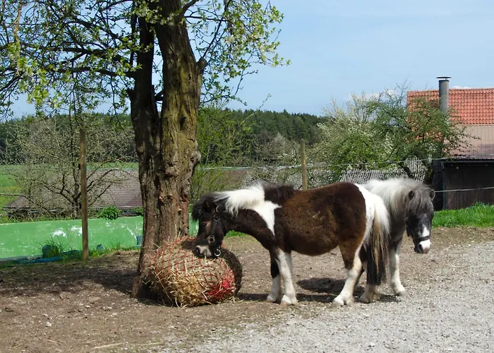 Kobelsberg * Aufsess