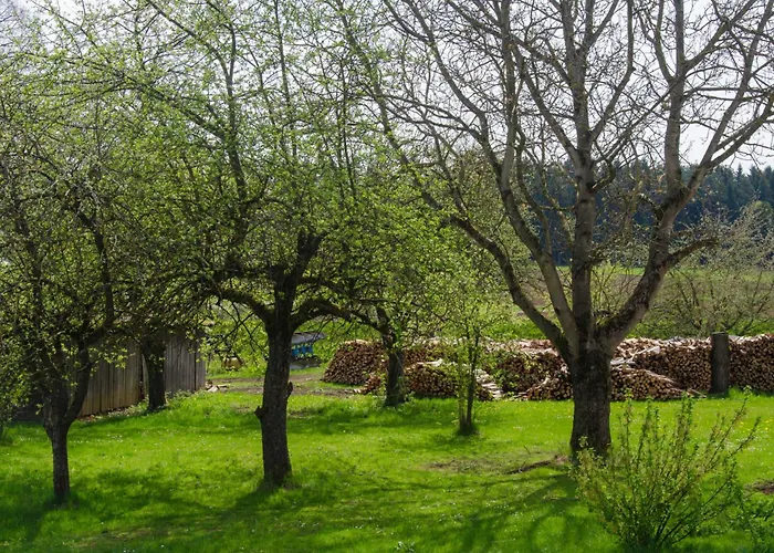 Kobelsberg * Aufsess
